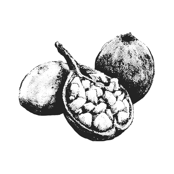 Organic Baobab