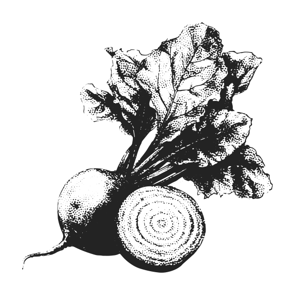 Betaine Anhydrous