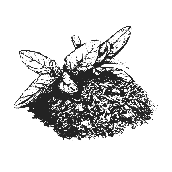 L-theanine